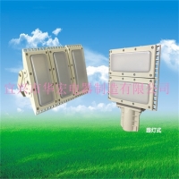 FAT-E防水防尘防腐泛光LED灯(B型) 防爆路灯led