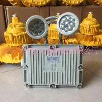 GCD803-YJ防爆应急灯 节能长寿防爆应急工作灯