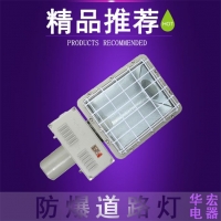 BAM91防爆专用路灯 双臂防爆路灯 防爆马路灯灯头