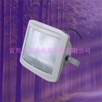 NSE9720防眩应急通路灯 应急通路灯 150W防眩灯