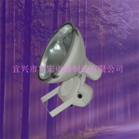 ZL8805大功率抗震节能投光灯 防水防尘射灯