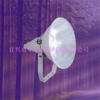 CYGT210/211分体式节能投光灯 防水防尘射灯