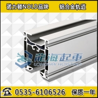 1200kg铝合金轨道配电动平衡器,诺力顿NOLD品牌
