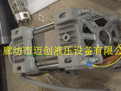 供应原装进口75KW油浸式电机图1