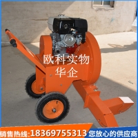 马路灰尘吹扫吹风机 欧科OK-200型道路吹风机