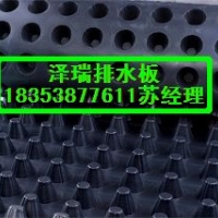株洲卷材车库排水板%湘潭2公分蓄排水板18353877611