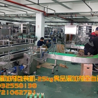 食品添加剂包装机-25kg食品添加剂全自动包装机--星火合肥