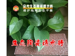 陶瓷透水砖认准河南众光，专业生产透水砖，价格低，口碑高图1