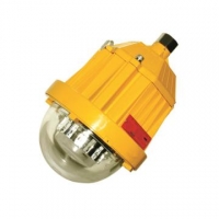 BPC8765石油化工照明 LED防爆平台灯