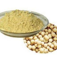 批发大豆提取物磷脂酰丝氨酸 PS 含量20%至70%