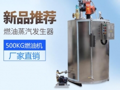 旭恩500kg燃油蒸汽发生器节能环保锅炉图3