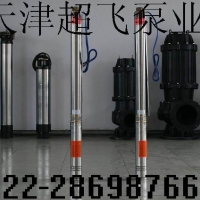 天津海水潜水泵，不锈钢潜水泵