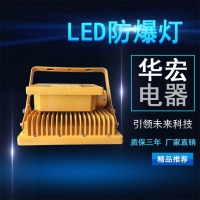BAD808-L3 LED防爆投光灯 防爆射灯