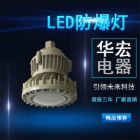 BAD808-M LED防爆灯 LED安全防爆灯