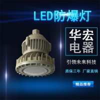 BAD808-M LED防爆灯 LED安全防爆灯