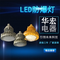 BAD808-M2 LED防爆照明灯 LED防爆灯