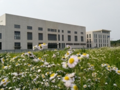 静安沙棘固体饮料加工厂家图1