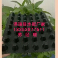 杭州车库排水板（厂家直销）屋顶绿化蓄排水板