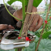 供应台湾SONO绑蔓机结束机葡萄绑枝器黄瓜绑蔓器番茄绑秧器