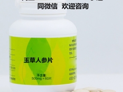 专业提取玉草人参片OEM包工包料工厂图1