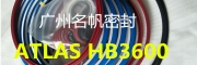 HB3000/3600阿特拉斯破碎锤油封修理包