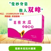 实体店玉草人参片ODM代加工