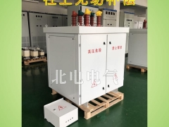 高压柱上无功补偿箱图2