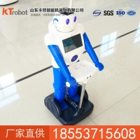 旺仔智能机器人销量  旺仔智能机器人供应