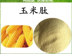 广东维生素C泡腾片来配方生产图1