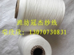 山东冠杰人棉合股纱线21/2 32/2 40/2粘胶股线图2