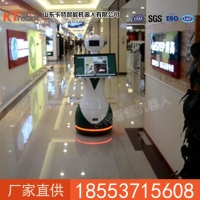 迎宾机器人设备材质 迎宾机器人工作效率