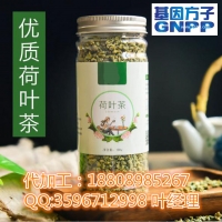 电商桑菊荷叶代用茶贴牌加工厂