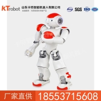 NAO机器人产量   科研NAO机器人  教学机器人