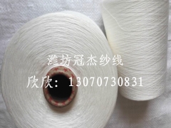 冠杰粘胶/涤纶包芯纱42支R42S+20D包芯纱现货图2