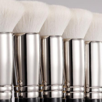 广州丝琪兰美妆实力品牌 合作加盟尽情选购