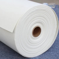 陶瓷纤维纸  含锆纤维纸 隔热绝缘耐火棉 异型件纤维制品