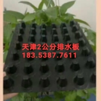 天津2公分车库绿化排水板/蓄排水板生产厂家