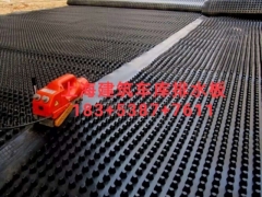 供应%上海建筑车库绿化排水板(全国发货)图2