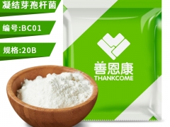 凝结芽孢杆菌图1