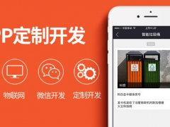 APP开发/app制作/安卓IOS系统源码定制开发图1