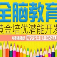 潍坊记忆计划儿童教育连锁开店费用