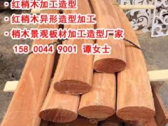 定制防腐木木栈栏、红梢木防腐木木栈道、印尼红梢木一级防腐木图2