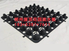 郴州车库抗压排水板)屋顶花园疏水板18353877611图2