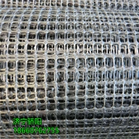 山东煤矿用矿井支护塑料网片