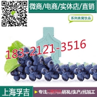 蓝莓复合果汁饮品胶原蛋白沙棘果[花青素]oem加工