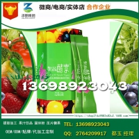 上海附近品牌商酵素蓝莓粉固体饮料OEM/生产基地
