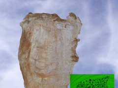 新西兰花胶总代理~诚征代理图2