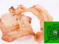 澳洲海参+花胶 诚征代理图2