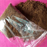 供应糖渣 木糖醇渣 有机肥菌肥原料 纯植物食品级下脚料