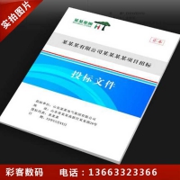 保定竞争性文件、磋商文件、响应文件制作代写